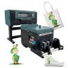 Buy cheap 30cm Pillow Hat Printing Machine Shoes Cloth Direct Transfer Film Printer from wholesalers