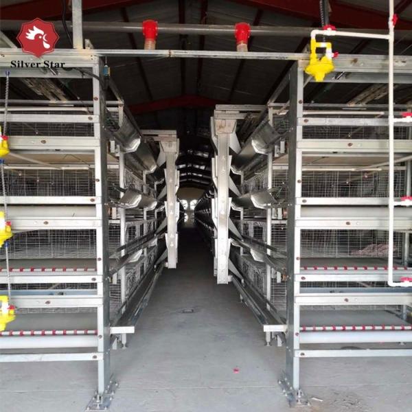 Buy cheap SGS Automatic Broiler Chicken Cage ISO9001 Q235A Hot Dipped Galvanized from wholesalers