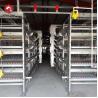 Buy cheap Automatic Poultry Broiler Chicken Cage Baby H Type Chick Cages from wholesalers