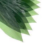 Sushi Decoration Sashimi Fresh Bamboo Leaves Zongye 7.5cm