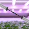 Buy cheap Samsung Beads Cucumber T8 Grow Light Tubes Waterproof 60w Led Grow Light from wholesalers