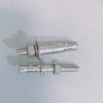304 316 Stainless Steel Expansion Anchor Bolt Wedge Anchor M10 M12 Concrete