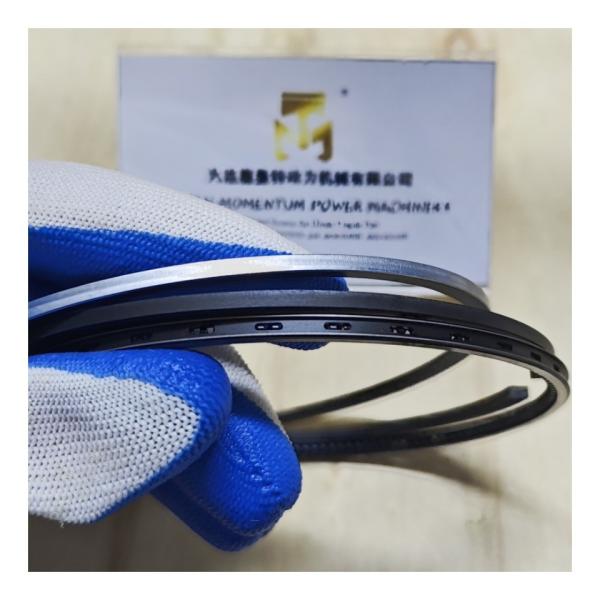 Piston Ring Set 103mm 32009299 32009213 32009210 32003226 32009214 320/09299 320