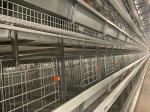 Buy cheap Poultry Farm Battery Automatic Chicken Cage Saving Feed ISO9001 Approved from wholesalers