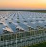 Buy cheap Good Light Transmission Glass Cover Venlo Greenhouse with Customization Option from wholesalers