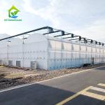 Agricultural UV Resistant Film Poly Tunnel Tomato Greenhouse For Flowers Plant