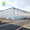 Buy cheap Multi-span Film Blackout Greenhouse for Year-Round Vegetable Cultivation from wholesalers