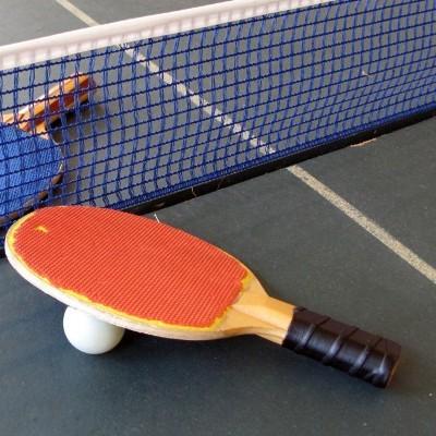 Buy cheap Table Tennis Nets Ping Pong Table Net Green Blue Nylon Customized Color from wholesalers