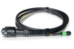 Buy cheap Waterproof ODVA SM MM MPO MTP Cable 8F 12F 24F MPO Fiber Optic Cable Assemblies from wholesalers