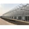 Buy cheap Large Agricultural Intelligent Holland Greenhouse Glass for Tomatoes Cucumber Lettuce from wholesalers