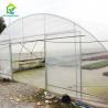 Buy cheap Polycarbonate Poly Tunnel Greenhouse Edible Mushroom Industrial Hemp Greenhouse from wholesalers