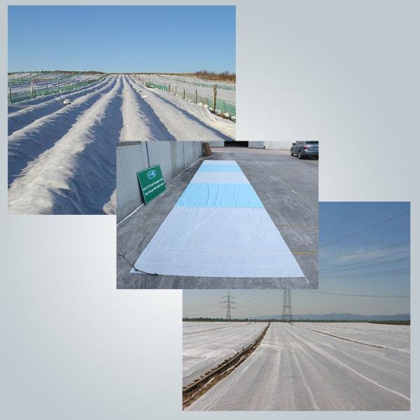 Buy cheap Air Permeable PP Non Woven Fabric For Frost Protection Blanket Crop Cover from wholesalers