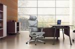 Full Mesh Ergonomic Office Furniture Stainless Steel Chair with Footrest in