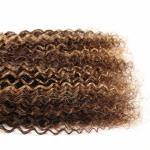 Pre-Colored Brown Blonde Human Hair Brazilian Hair Weave Afro Kinky Wave Hair