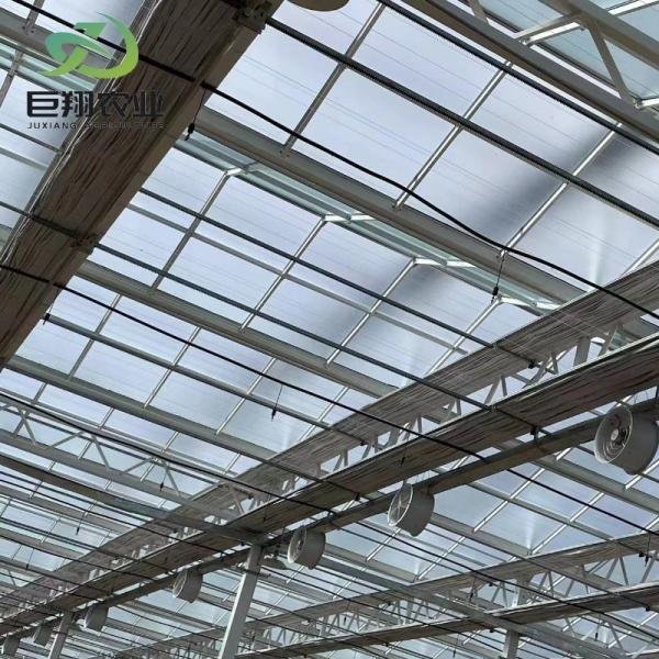 Buy cheap Glass Covered Double Layer Greenhouse for Hydroponic Vegetable/Flower/Fruit/Garden from wholesalers