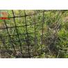Buy cheap HDPE Garden Climbing Plant Support Netting , Garden Mesh Netting , Garden Plastic Mesh Fencing , Black Color from wholesalers