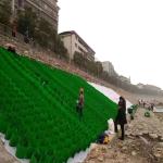 Steep Slope Protection Reinforcement Black Gray Green Honeycomb Geocells HDPE