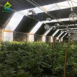 Blackout Flowerhouse Conservatory Greenhouse Agriculture 10x20 Light Dep