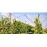 Buy cheap SIDIKE Polyester Monofliament Yarn Light Weight Kiwi Trellis Support from wholesalers