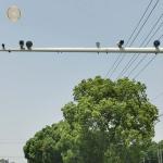 Polygonal Telescopic CCTV Camera Pole 11m Security Camera Mast