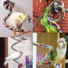 Buy cheap Pet Ropes Durable Dog Rope Toys Rope Animal Dog Toys from wholesalers
