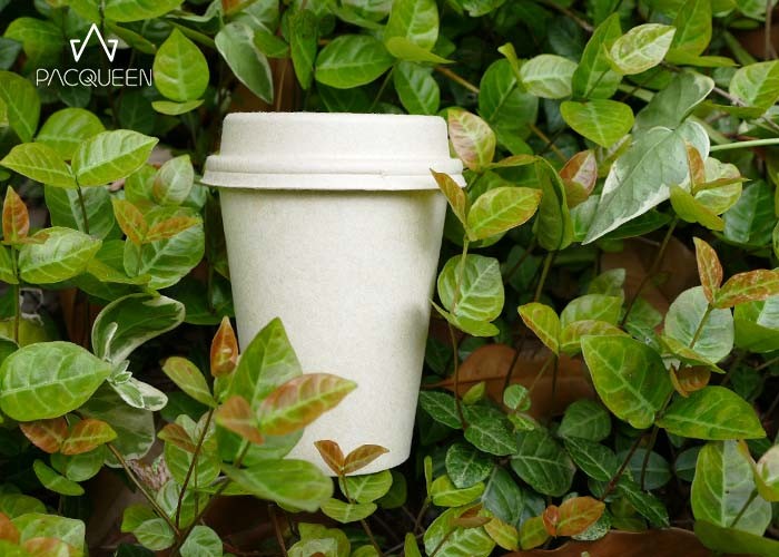 Disposable Hot Drinking Paper Takeaway Cups Flexco Printing