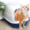 Buy cheap PP Small Covered Kitty Litter Box Tray 51*41*38cm Green Pink from wholesalers