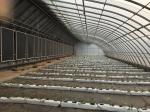 Solar Greenhouse 50-120m Length With Double Arch Galvanized Steel Structure