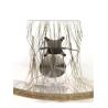 Buy cheap Polishing Hotel Restaurant Furniture Transparent Adjustable Bar Stools from wholesalers