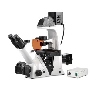 Trinocular Inverted Biological Microscope Epi Fluorescence Biological Phase