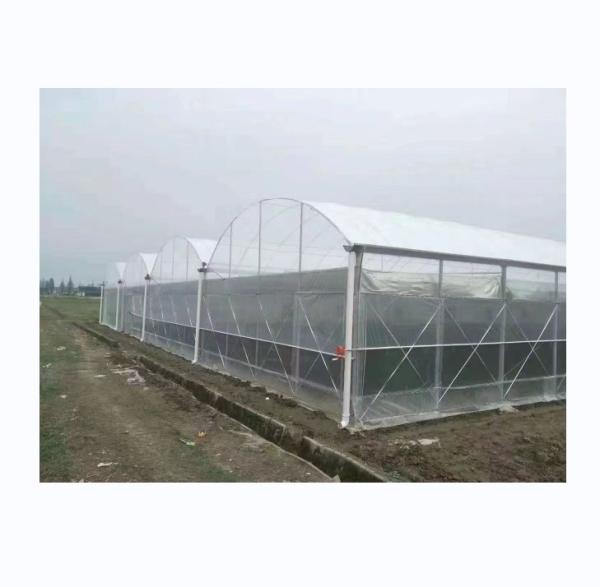 Buy cheap 150/200 Micron Plastic Film Multi Span Greenhouse For Vegetable And Flower Growing from wholesalers