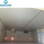 PU Foma Panel Material Assembled Frozen Fish Meat Storage Warehouse with