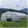 Buy cheap Steel Frame Tunnel Plastic Greenhouse / PE Film Plastic Tomato Greenhouse from wholesalers