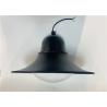 Buy cheap PENDANT GARDEN LIGFHT DIECAST ALUMINUM IP66 Retrofit LED Modular 30-80w High Luminous Efficacy Outdoor For Courtyard，parks from wholesalers
