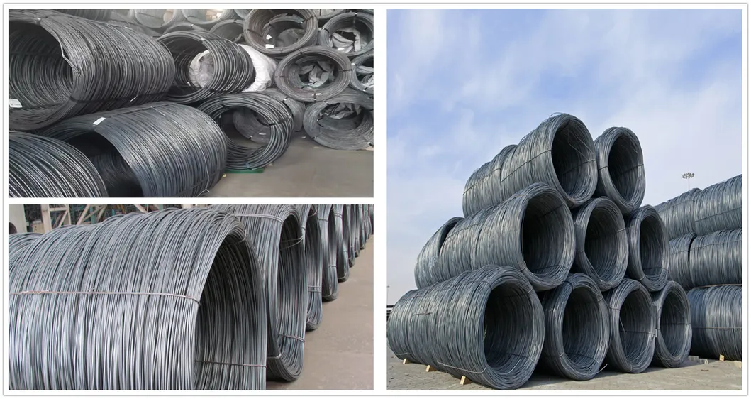 Different Size Good Price SAE1008 5.5mm Steel Wire Rod in Coils for Construction Steel Wire Rod