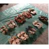 Buy cheap All kind of fashion used women shoes,used shoes used clothes used bags. from wholesalers