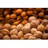 Buy cheap Fresh Raw Xinjiang 185 Walnut Light Amber Color In Shell Wholesale Price For Sale Amazon’s best-selling products from wholesalers