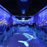 Buy cheap Multi Projection 3D Interactive Immersive Projector Holographic Projection from wholesalers