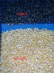 Grain Corn Separating Machine 1 Chute 64 Channels For Grading
