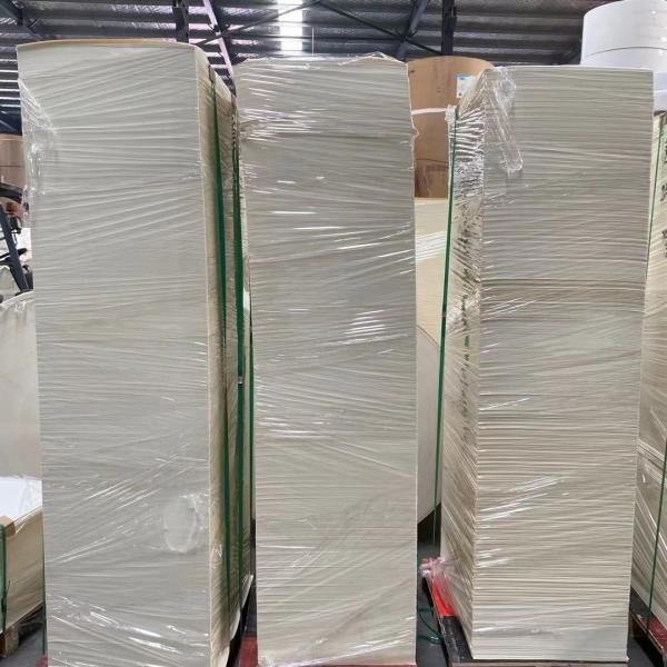 Buy cheap 280gsm PLA Coated Paper Cup Raw Material Single Wall Paper Cup Blanks from wholesalers