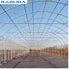 Buy cheap Tomato Growing Naturally Ventilated Greenhouse Plastic Film Greenhouse from wholesalers