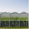 Buy cheap Galvanized Steel Frame Multi Span Venlo Glass Greenhouse Large Automatic from wholesalers