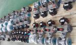 Double action and single action 1/4 turn pneumatic rotary actuator for butterfly