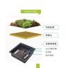 Buy cheap Square Shape Sedum Green Roof Tray for Plastic Large Garden Planter and Green Plant from wholesalers