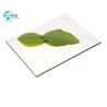 Buy cheap Sophisticated Alucobond Sandwich Panels Exterior And Interior Decoration 2440mm from wholesalers
