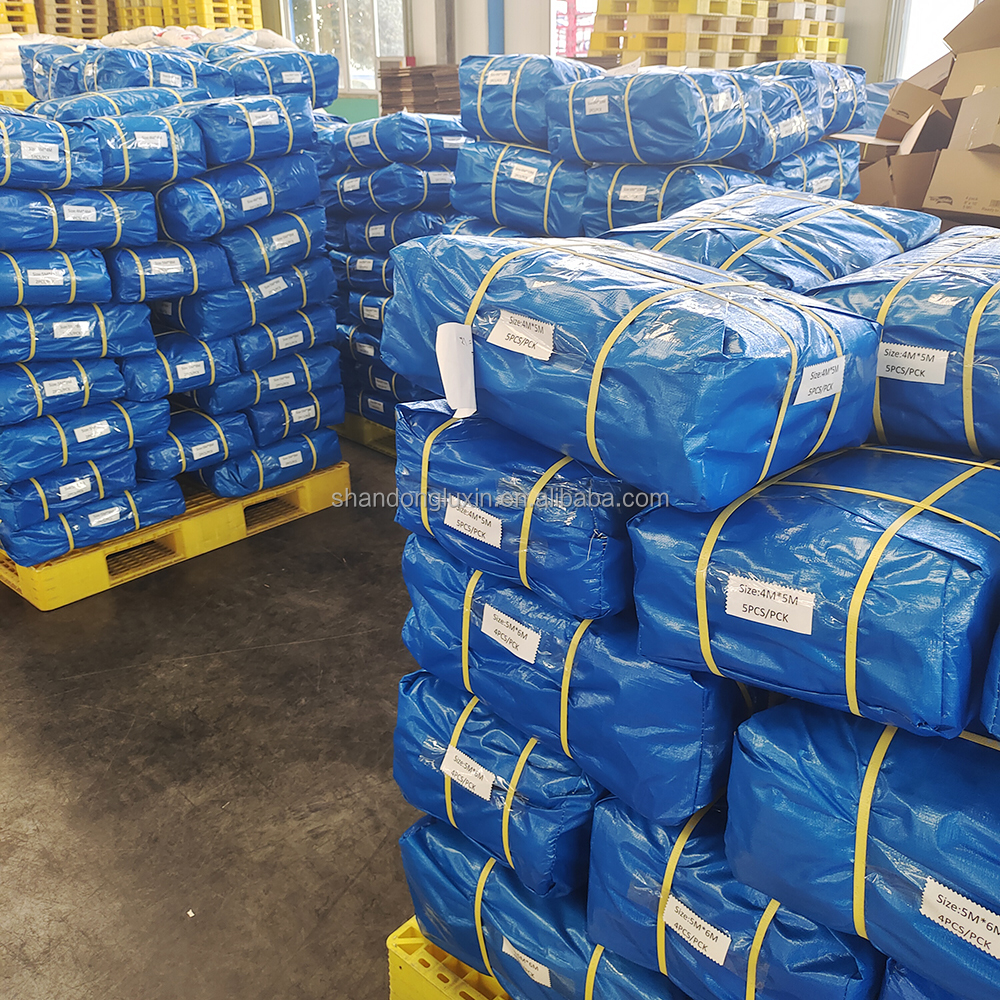 PE Tarpaulin Covering Woven Fabric Waterproofing Anti-Uv Protective Plastic Sheet