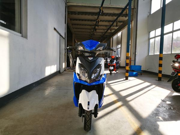 Buy cheap EEC Women And Men Multi Color Electric Road Scooter High Speed 50cc Electric Scooter from wholesalers