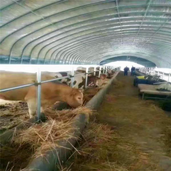 Buy cheap Poly Tunnel Greenhouse Poultry Farm For Sheep Chicken from wholesalers
