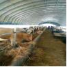 Buy cheap Agriculture Poultry Farming Chicken Heated Greenhouse Automatic from wholesalers
