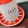 Buy cheap Plastic Poultry Feeder Pan Bucket Water Drinker Farm Equipment Auto 10kg Chicken Feeder from wholesalers